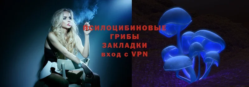 Галлюциногенные грибы Magic Shrooms  площадка Telegram  Чехов 